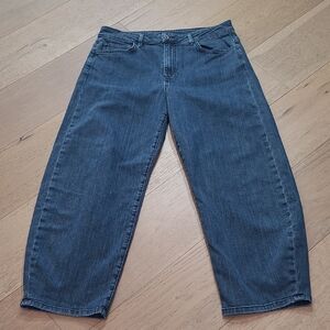 EUC Lisa Bayne Barrel Jeans Women's sz 12 High Rise Barrel Leg Crop Denim Jeans